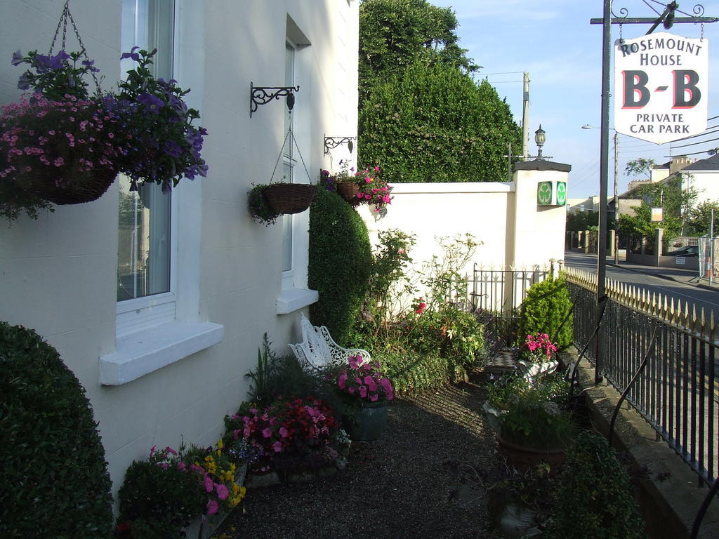 Rosemount House B&B COUNTY WEXFORD Екстериор снимка